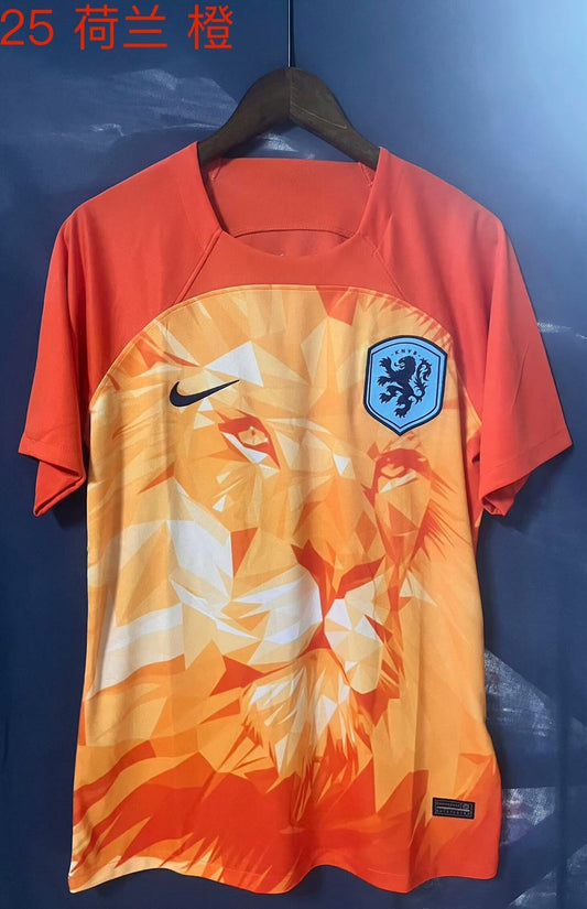 Netherlands Special Edition Fans Football Jersey 2024/2025