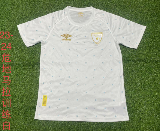 Celtic Special Edition Fans Football Jersey 2023/2024