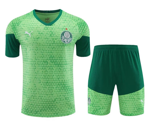 Palmeiras Training Clothing Set Football Jersey 2024/2025