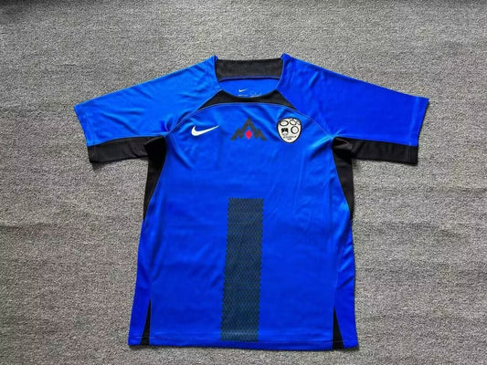 Slovenia Home Fans Football Jersey 2024/2025