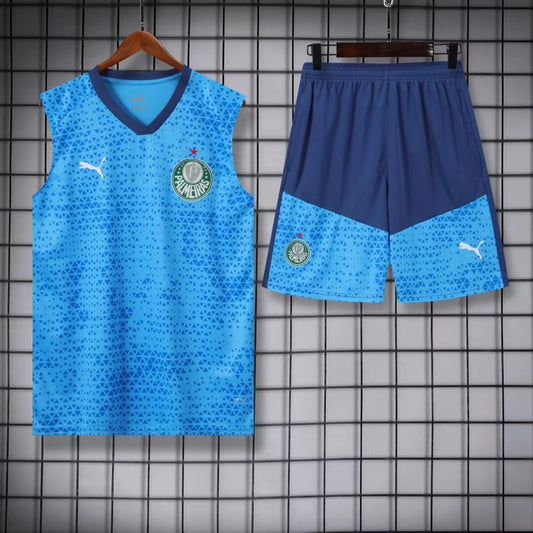 Palmeiras Training Clothing Vest Set Football Jersey 2024/2025