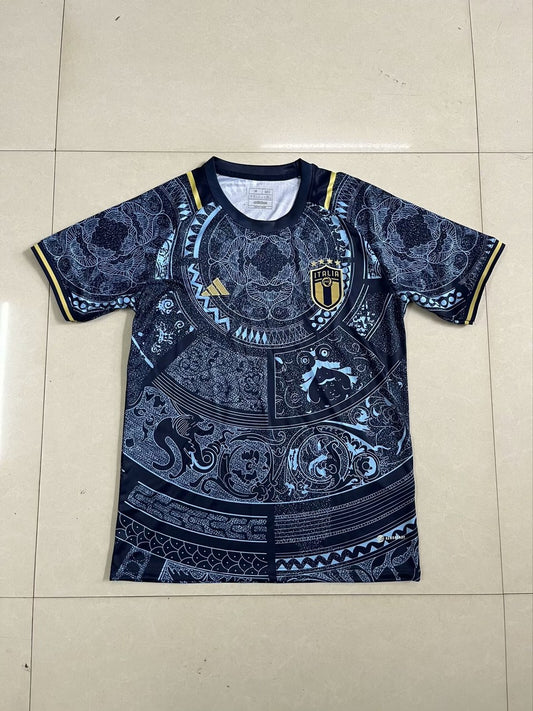 Italy Anniversary Edition Fans Football Jersey 2024/2025
