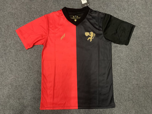 Sports Recife Special Edition Fans Football Jersey 2024/2025