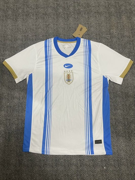 Uruguay Training Clothing Fans Football Jersey 2024/2025
