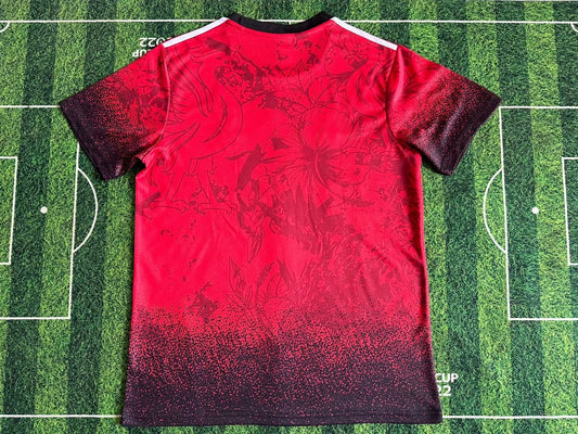 Liverpool Special Edition Fans Football Jersey 2024/2025