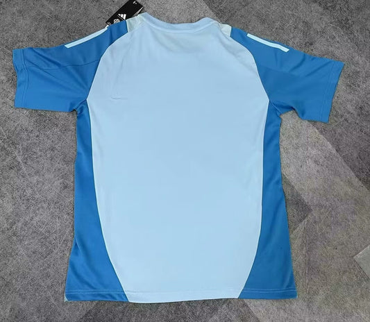 Flamenco Blue Training Clothing Fans Football Jersey 2025/2026