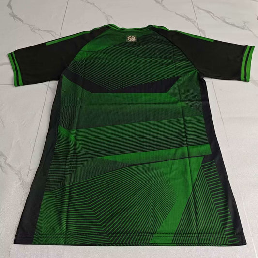 Celtic Home Player Football Jersey 2025/2026