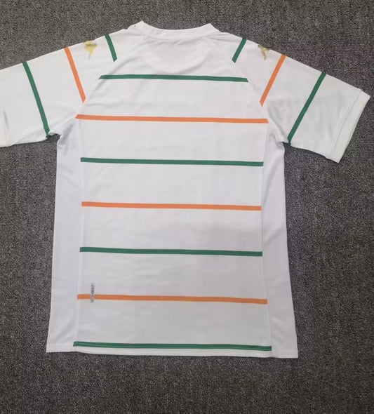 Venice Away Fan Football Jersey 2022/2023