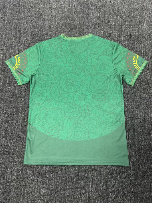 Mali Competition Before Special Edition Fans Football Jersey 2025/2026
