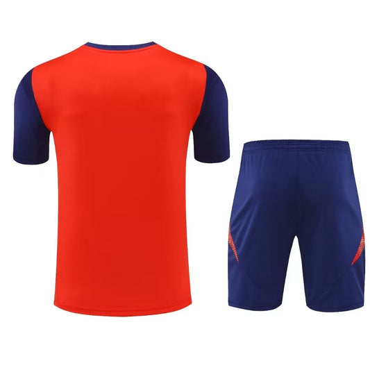 Spain Training Clothing Set Football Jersey 2024/2025