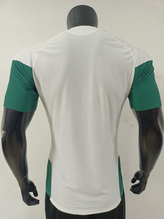 Italy Training Special Edition Player Football Jersey 2026/2027