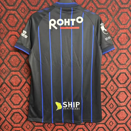 Gamba Osaka Home Fans Football Jersey 2024/2025
