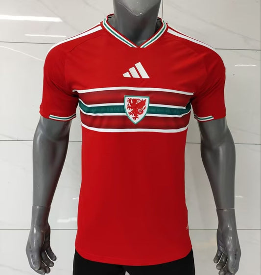 Wales Home Fans Football Jersey 2026/2027