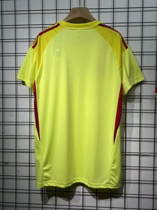 Celtic Goalkeeper Fans Football Jersey 2025/2026