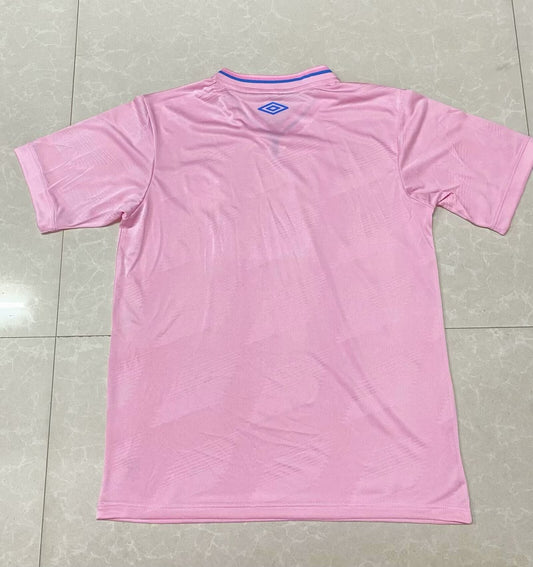 Gremio Special Edition Fans Football Jersey 2024/2025