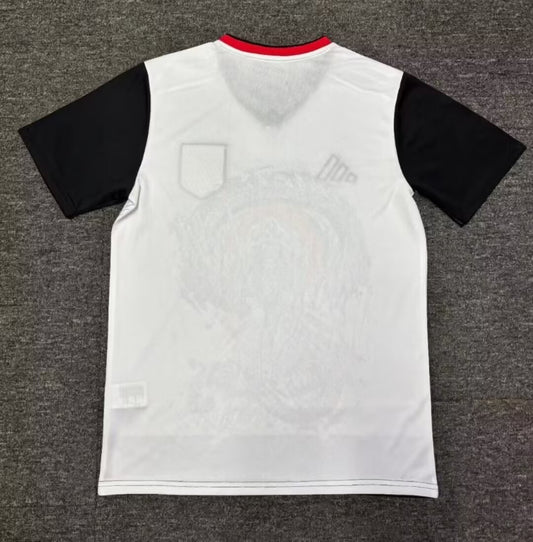 Japan Special Edition Fans Football Jersey 2024/2025