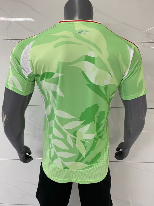 Italy Away Fans Football Jersey 2024/2025