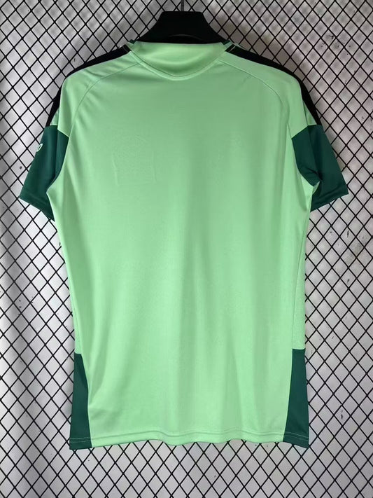 Mexico Training Special Edition Fans Football Jersey 2026/2027