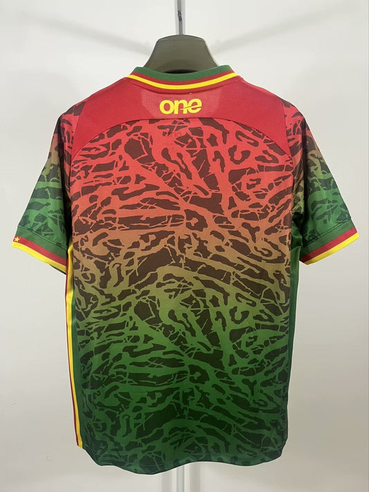 Cameroon Special Edition Fans Football Jersey 2024/2025