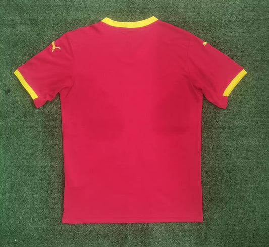 Guinea Home Fans Football Jersey 2024/2025