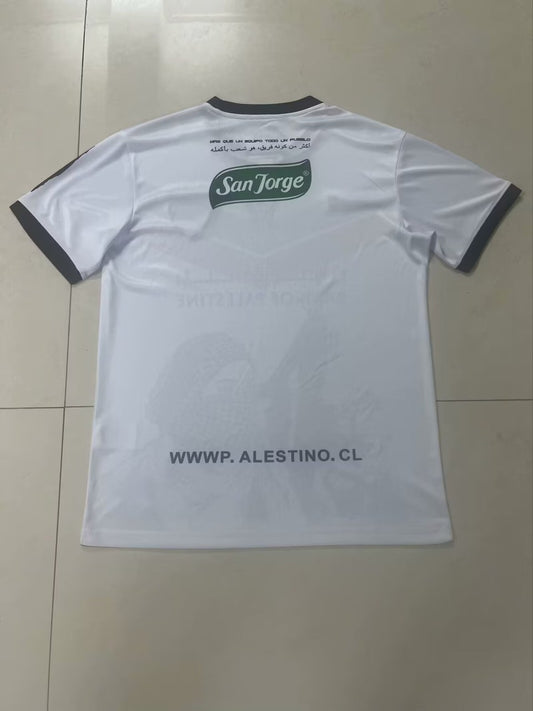Palestine Special Edition Fans Football Jersey 2024/2025