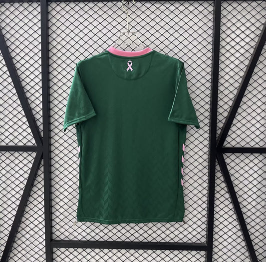 AS Saint-Etienne Special Edition Fans Football Jersey 2025/2026