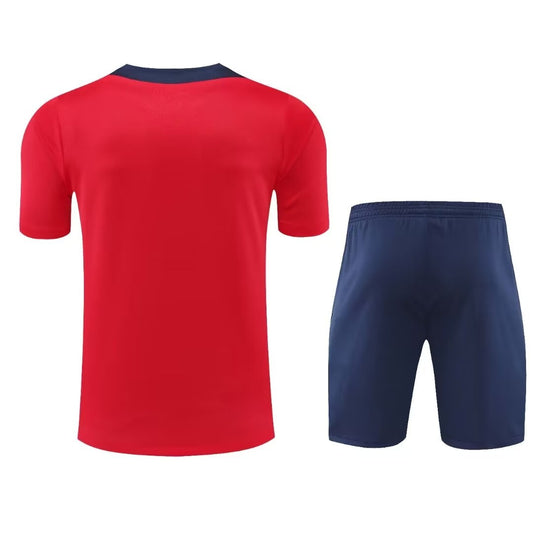 Atletico Madrid Training Clothing Set Football Jersey 2024/2025