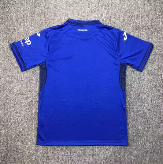 Hoffenheim Home Fans Football Jersey 2024/2025