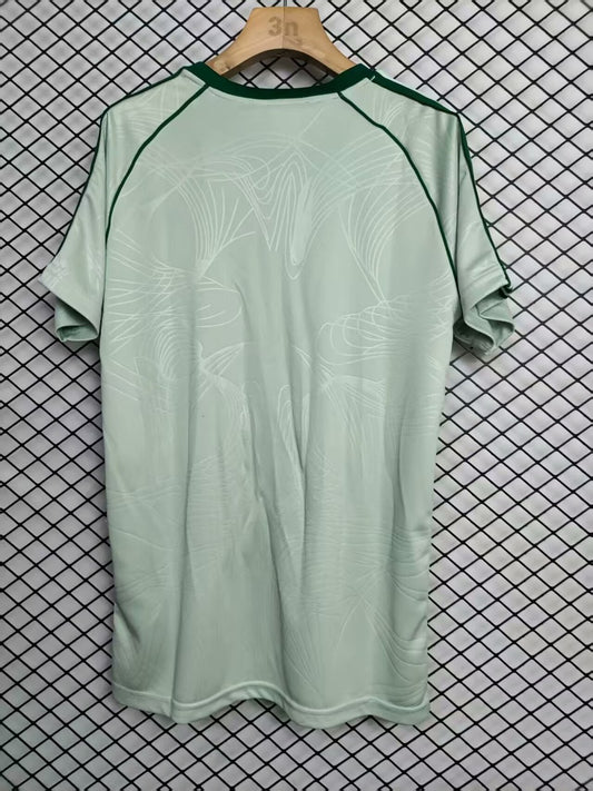 Celtic Origin Special Edition Fans Football Jersey 2025/2026