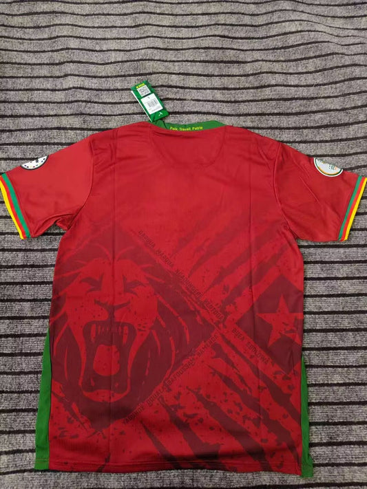 Cameroon Home Fans Football Jersey 2025/2026