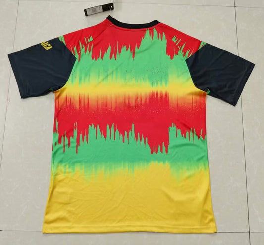 Jamaica Training Special Edition Fans Football Jersey 2026/2027