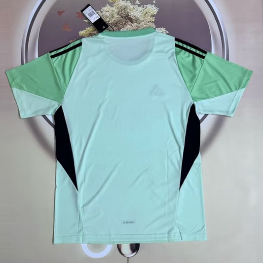 Benfica Goalkeeper Fans Football Jersey 2025/2026