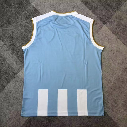 Paysandu Para Vest Fans Football Jersey 2025/2026