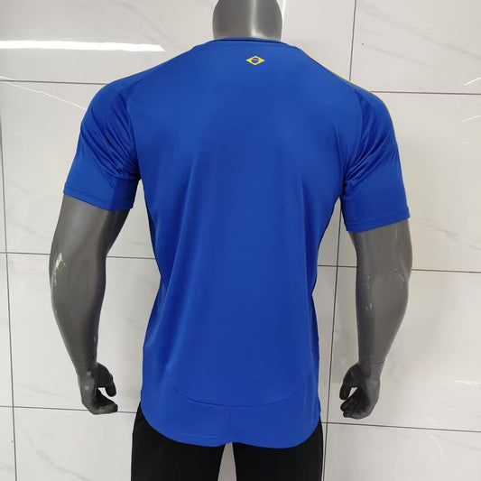 Brazil Jesus Special Edition Fans Football Jersey 2025/2026