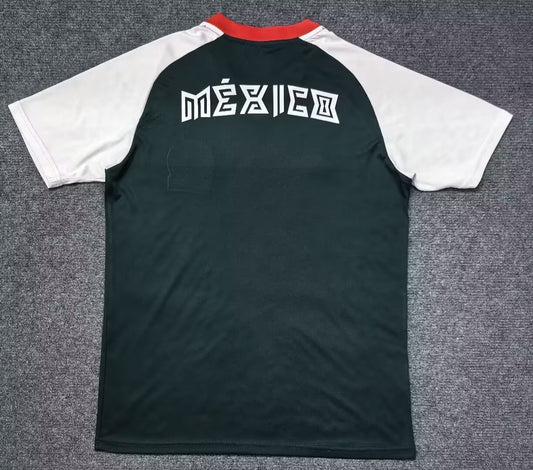 Mexico Training Special Edition Fans Football Jersey 2026/2027