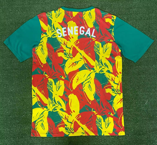 Senegal Special Edition Fans Football Jersey 2024/2025