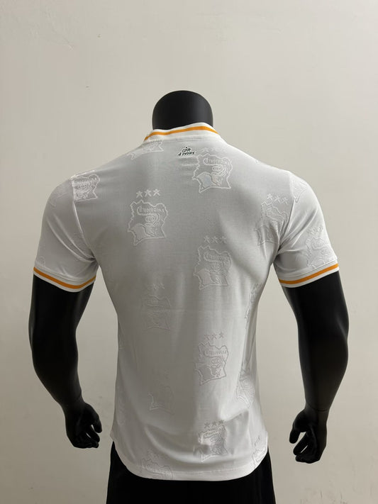 Cote DIvoire Away Player Football Jersey 2025/2026