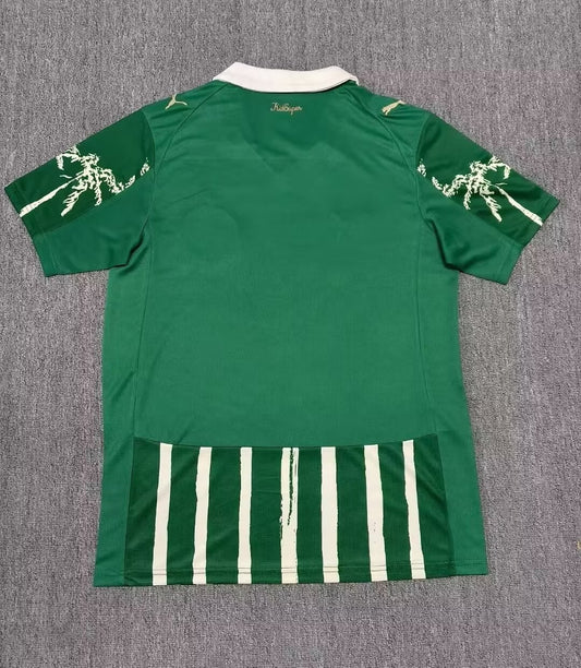 Palmeiras Special Edition Fans Football Jersey 2025/2026