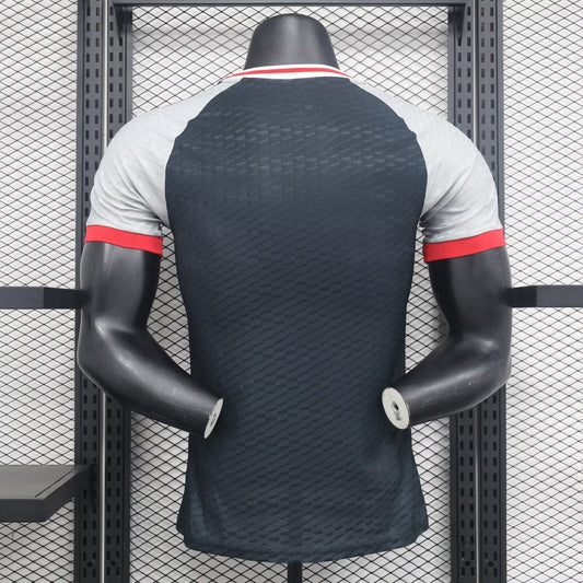 Japan Special Edition Player Football Jersey 2024/2025
