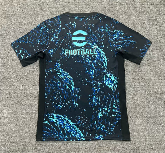 Inter Milan Special Edition Fans Football Jersey 2025/2026