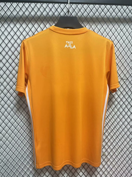 Algeria Training Clothes Fans Football Jersey 2024/2025
