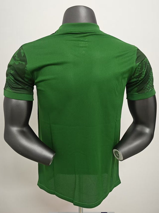 Sporting Lisbon Special Edition Fans Football Jersey 2025/2026