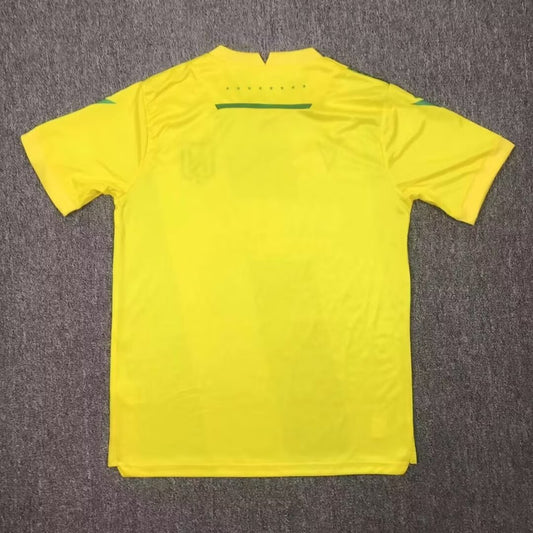 FC Nantes Home Fans Football Jersey 2024/2025