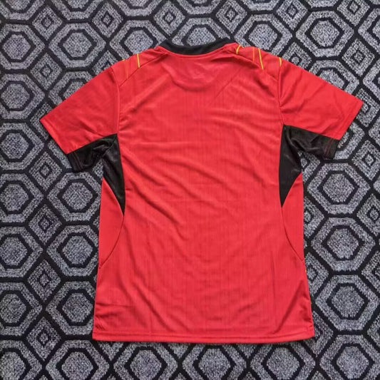Ghana Special Edition Red Fans Football Jersey 2026/2027