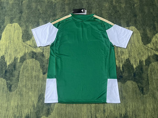 Italy Training Special Edition Fans Football Jersey 2026/2027