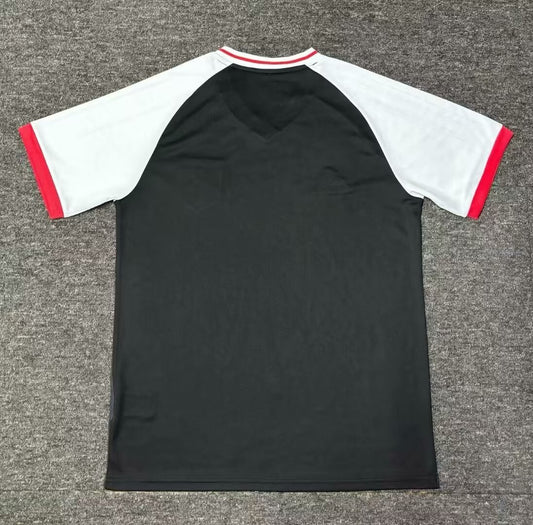 Japan Special Edition Fans Football Jersey 2024/2025