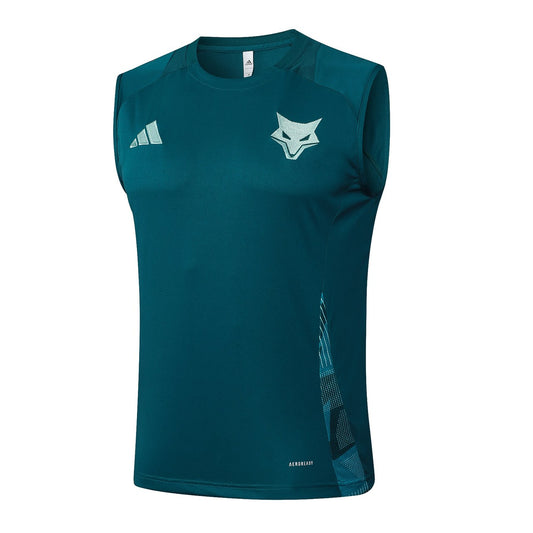 Cruzeiro Training Vest Fans Football Jersey 2024/2025