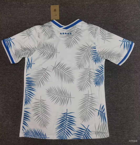 Brazil Special Edition Fans Football Jersey 2024/2025
