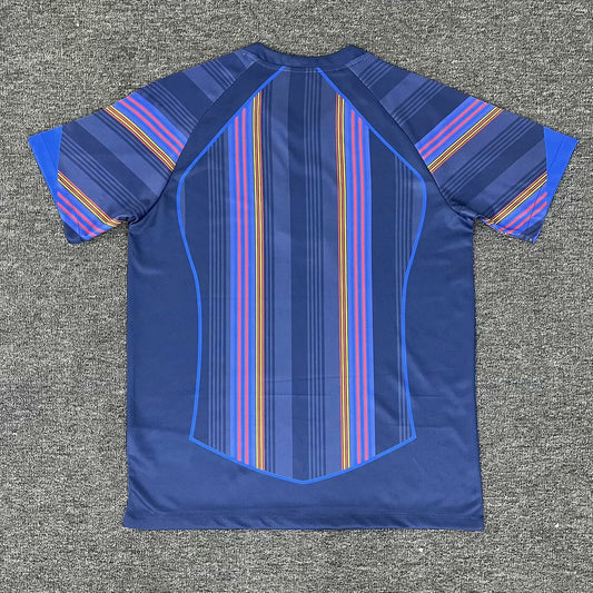 Barcelona Special Edition Fans Football Jersey 2025/2026