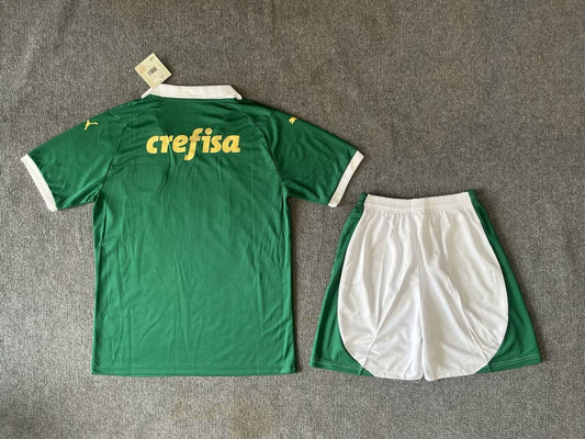Palmeiras Home Fans Suit Football Jersey 2024/2025